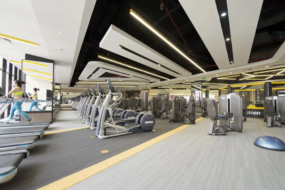 Ra đời vào năm 2010, Elite Fitness đã phát triển từ câu lạc bộ đầu tiên tại Xuân Diệu - Hà Nội, trở thành hệ thống CLB thể thao 5 sao tiêu chuẩn quốc tế hàng đầu do tập đoàn BIM Việt Nam làm chủ với 14 câu lạc bộ trải dài trên toàn quốc.